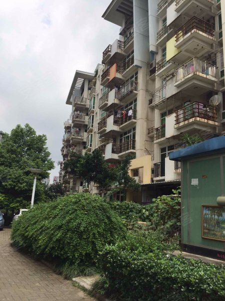 新地东方花都海棠苑