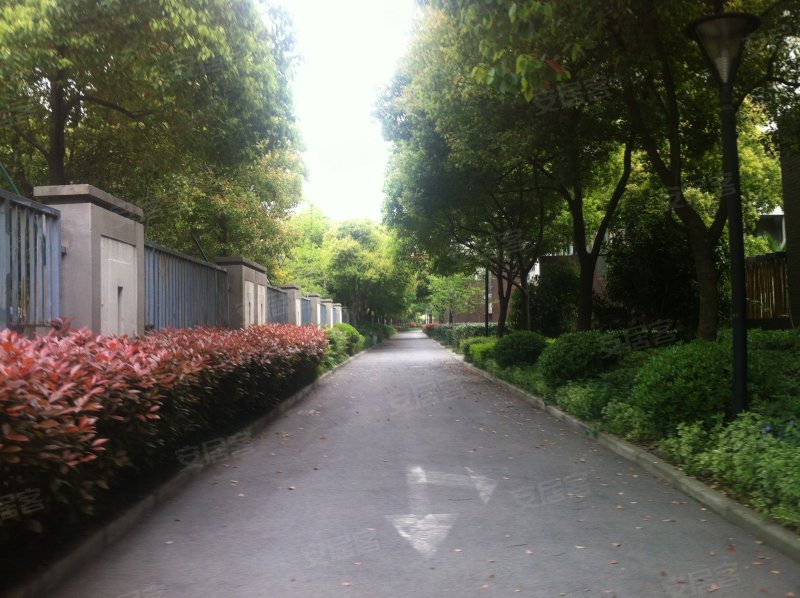 布鲁斯郡(别墅) 