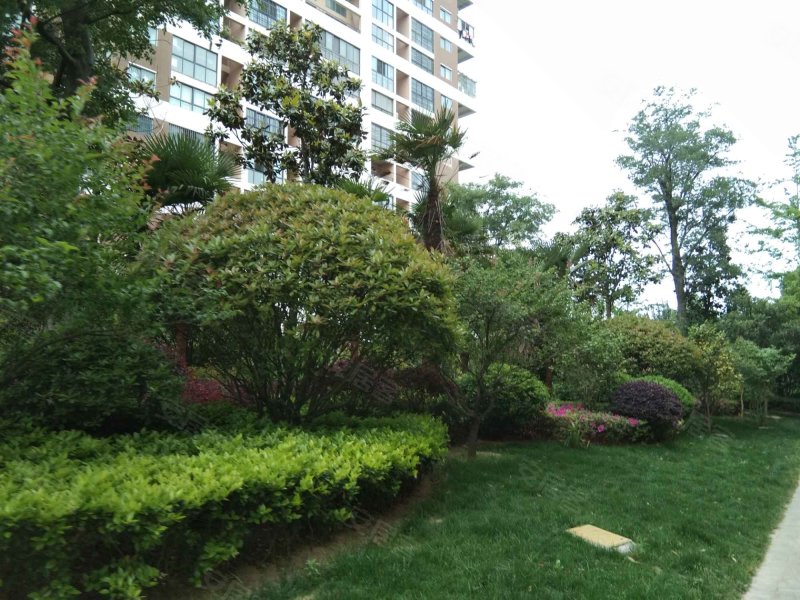 红豆国际商务城,红豆路1号-淮安红豆国际商务城二手房,租房,房价-淮安