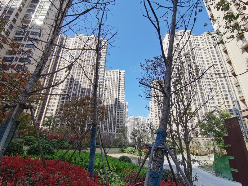 新地城市广场(二期)