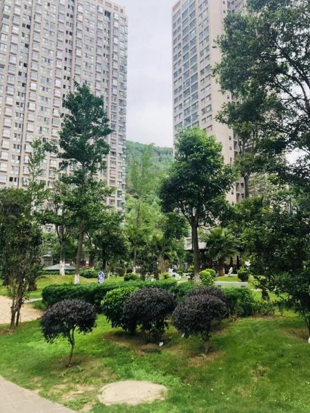河畔阳光,洱河北路1号-大理河畔阳光二手房,租房,房价-大理安居客