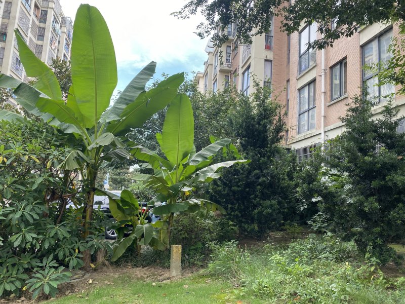 翠堤湾花园,东环二路45号-常州翠堤湾花园二手房,租房,房价-常州安居