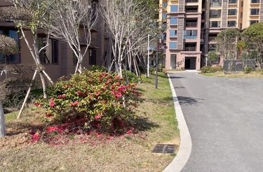 观湖名筑,珍珠山路 - 岳阳观湖名筑二手房,租房,房价-岳阳安居客