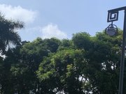 白石洲小区图片