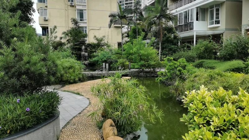 蓝漪花园,蛇口老街51号-深圳蓝漪花园二手房,租房,房价-深圳安居客