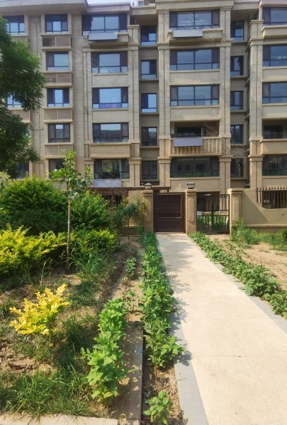 紫晶苑(商住楼),建设南路-廊坊紫晶苑(商住楼)二手房,租房,房价-廊坊