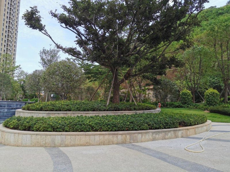永鸿悦海湾,招商大道,近丽江路-漳州永鸿悦海湾二手房,租房,房价-漳州