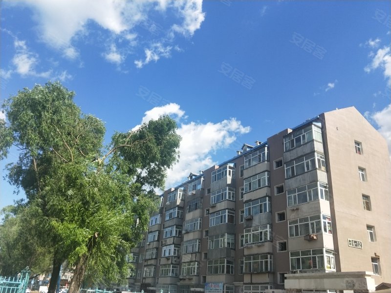 新村(六区),纬九路-大庆新村(六区)二手房,租房,房价-大庆安居客