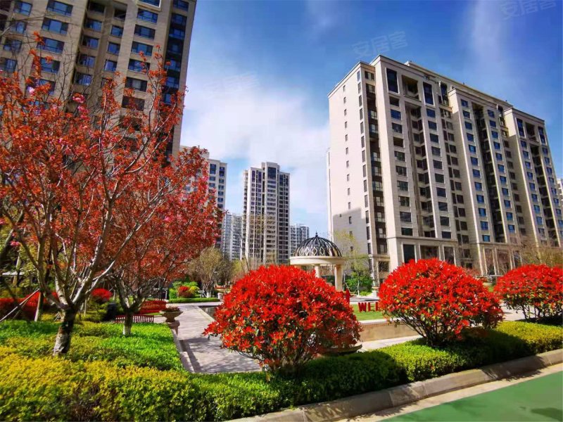 金地悦峰,同安路866号-青岛金地悦峰二手房,租房,房价-青岛安居客