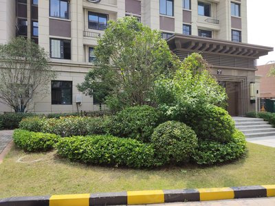 安建汉城源筑书香苑