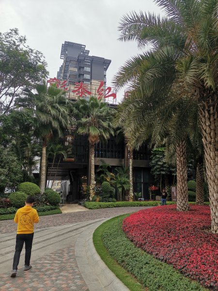 彰泰红,青环路82号-南宁彰泰红二手房,租房,房价-南宁安居客