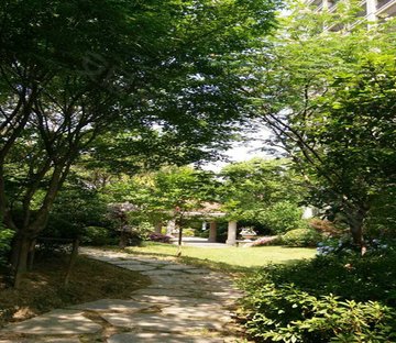 急售  江南御园洋房  位置好 全体采光无遮挡 随时可看