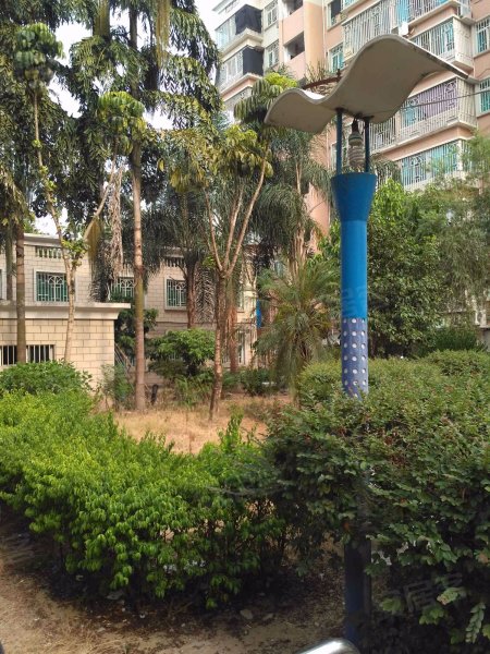 丹凤花园一区,丹凤东路15号-福州丹凤花园一区二手房,租房,房价-福州