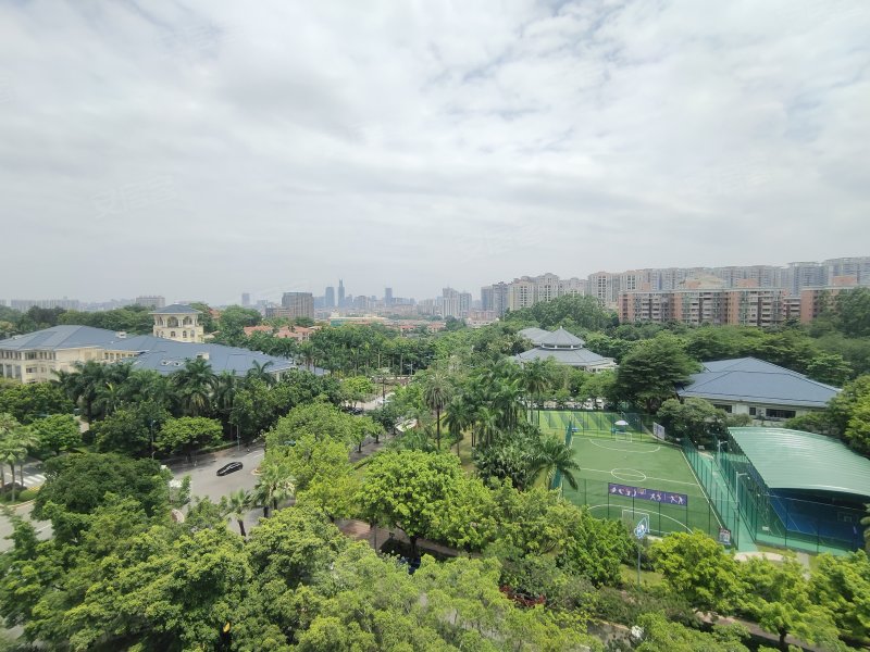 汇景新城棕榈园