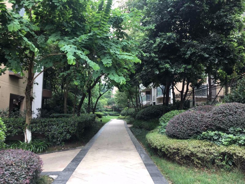 保利丁香郡,丁香路259号-成都保利丁香郡二手房,租房,房价-成都安居客