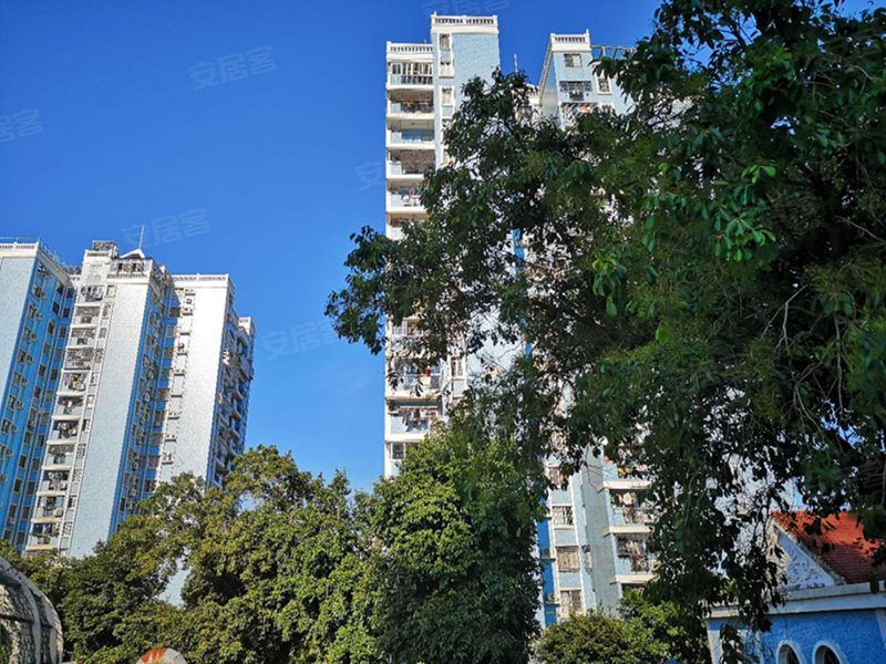 前埔不夜城,文兴东路20-50号-厦门前埔不夜城二手房,租房,房价-厦门