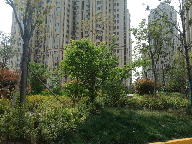 森林半岛(南区),一大街-开封森林半岛(南区)二手房,租房,房价-开封