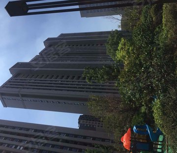 宁兴嘉利玫瑰园