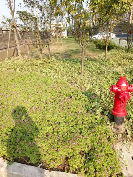 美罗家园金丰苑第一居民区 