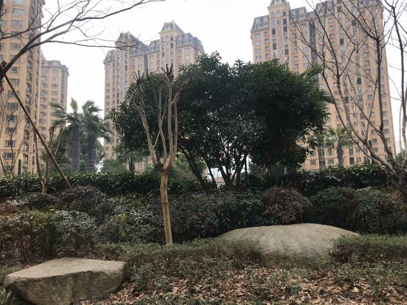 东阳欧景名城,平川路-金华东阳欧景名城二手房,租房,房价-金华安居客