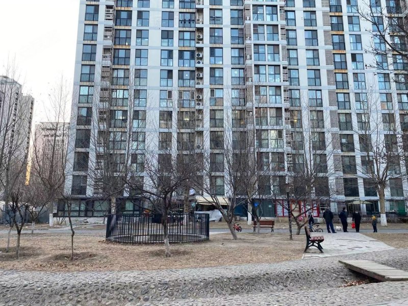 柏林爱乐(四期)