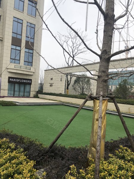 弘阳美的昕悦尚宸