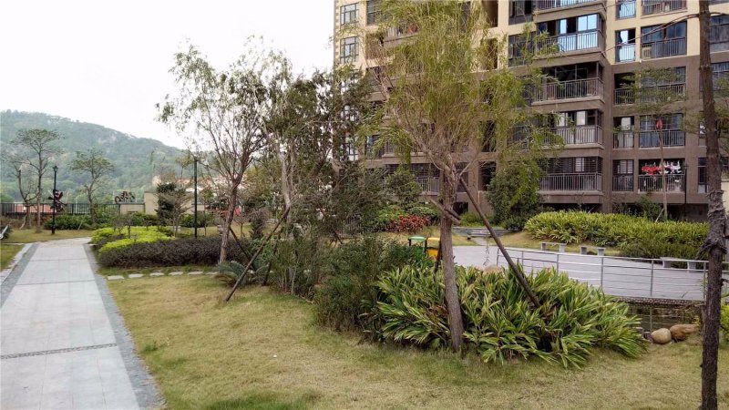 伴山御景,世纪大道300号-晋江伴山御景二手房,租房,房价-晋江安居客