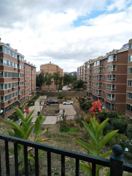 枫林绿洲,广仁岭大街-承德枫林绿洲二手房,租房,房价-承德安居客