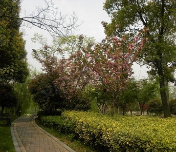 文一路小区图片