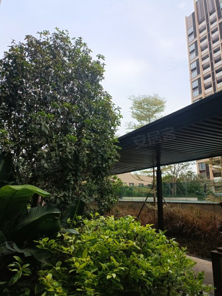 凤凰春天花园,清远大道-清远凤凰春天花园二手房,租房,房价-清远安居