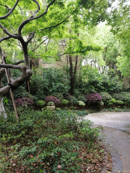 美岸栖庭(一期别墅) 