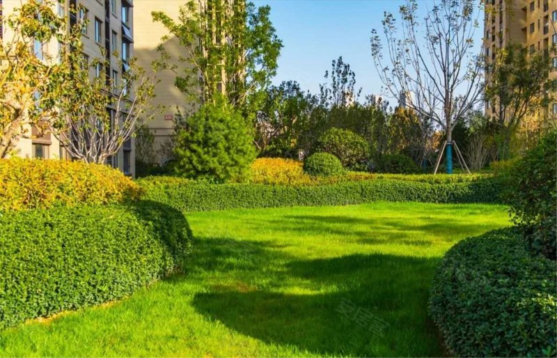 保利熙悦,齐州路-济南保利熙悦二手房,租房,房价-济南安居客