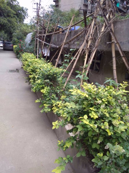 金华苑,桃林街2号-成都金华苑二手房,租房,房价-成都安居客