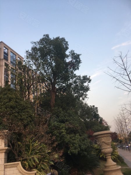 御庭壹号,市府大道-台州御庭壹号二手房,租房,房价-台州安居客