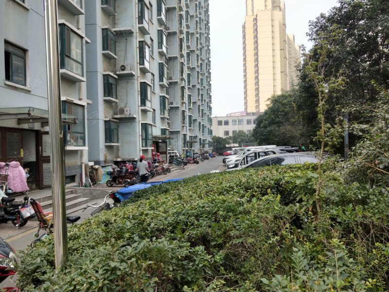 河畔花园,涑河北街-临沂河畔花园二手房,租房,房价-临沂安居客