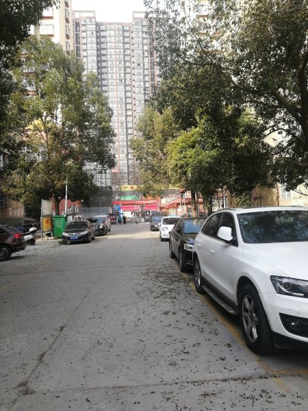 文秀花园,建设中路1089号-南阳文秀花园二手房,租房,房价-南阳安居客