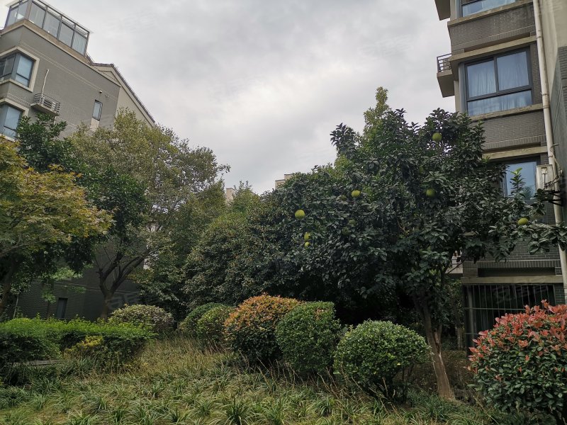 新城盛景e区,崧文路288弄-上海新城盛景e区二手房,租房,房价-上海安居