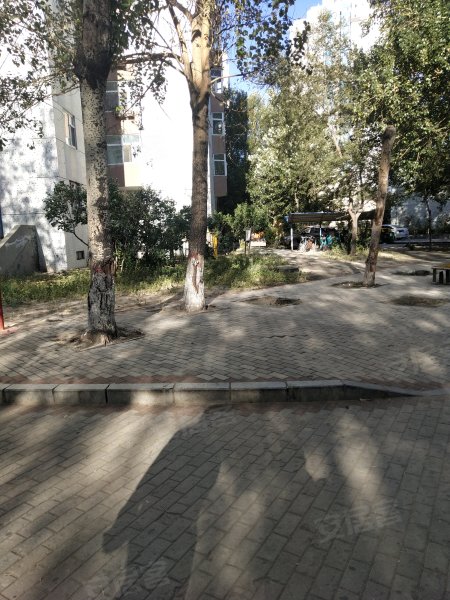 远望居住小区,西湖街-大庆远望居住小区二手房,租房,房价-大庆安居客