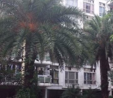 颐安都会中央(五期)