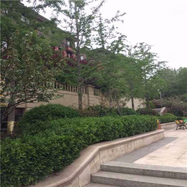 泰山新湖绿园,府东路1号-泰安泰山新湖绿园二手房,租房,房价-泰安安居