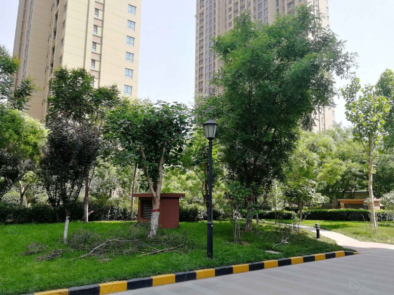 东南智汇城牡丹园