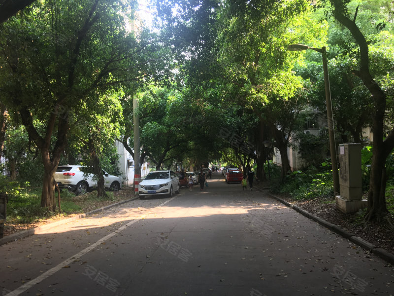 白果小区