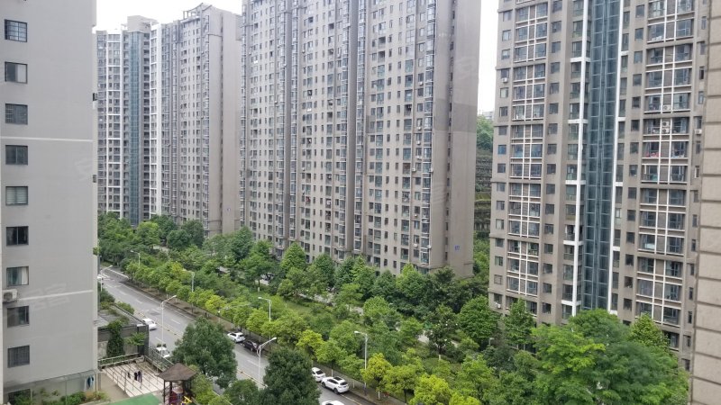 金阳世纪城龙瑞苑,金阳南路-贵阳金阳世纪城龙瑞苑二手房,租房,房价