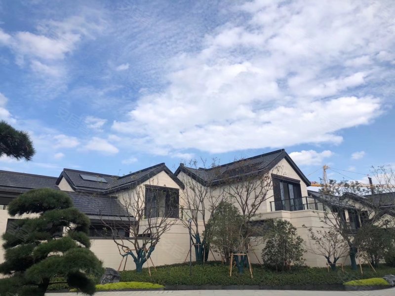 山棠春晓别墅,金姬墩街88号-苏州山棠春晓别墅二手房,租房,房价-苏州