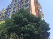 南站小区图片