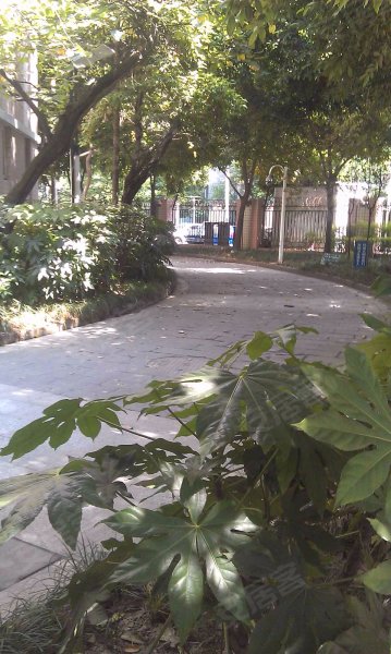 五洲花园,天顺路288号-成都五洲花园二手房,租房,房价-成都安居客