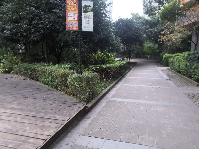 绿洲华府,石坪桥正街125号-重庆绿洲华府二手房,租房,房价-重庆安居客