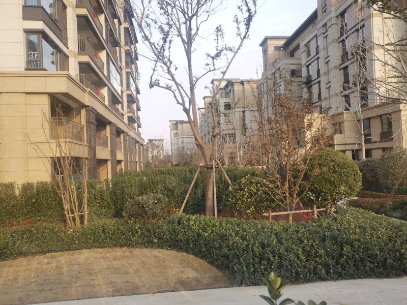 绿地公园城,新郑快速通道,近豫一路-郑州绿地公园城二手房,租房,房价