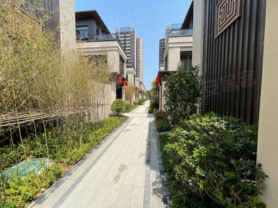 龙光江南院子(别墅),沙井大道,近智和路 - 南宁龙光江南院子(别墅)