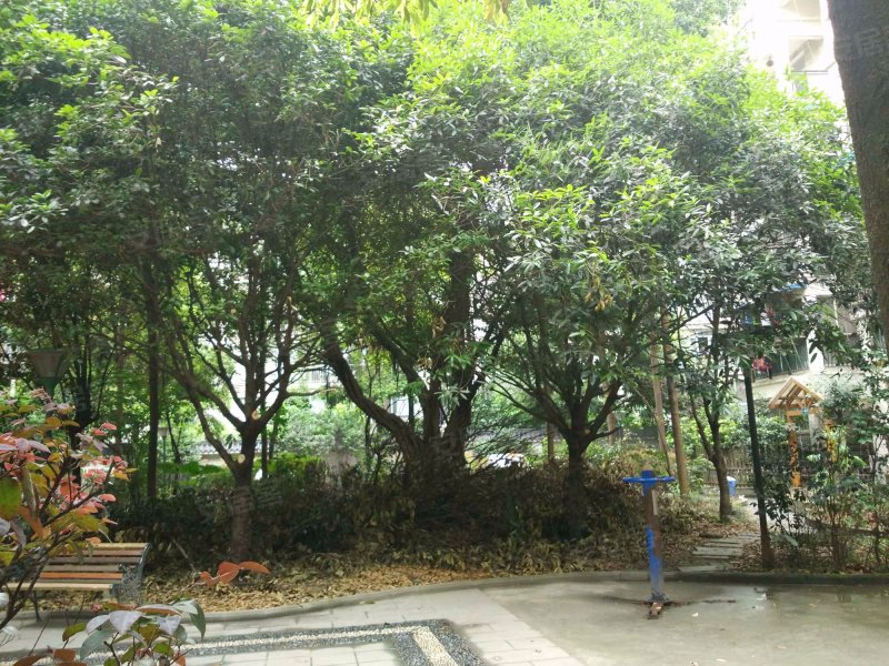 西区丽景花园,下街428号-成都西区丽景花园二手房,租房,房价-成都安居